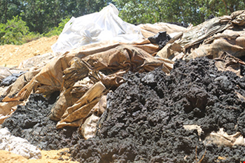 Điều tra vụ chất thải Formosa ở trang trại sếp môi trường