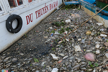 Mỏi tay vớt xác cá ở kênh Nhiêu Lộc - Thị Nghè